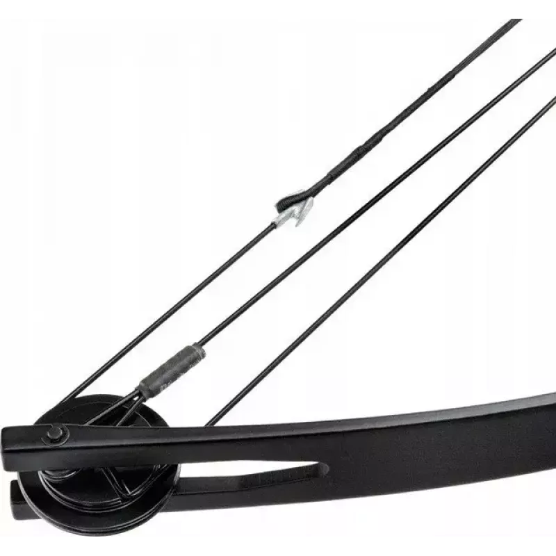 Compound bow POE LANG CO-047B-5529, 29 inch, 55 lb draw, metal, 1070 mm, black