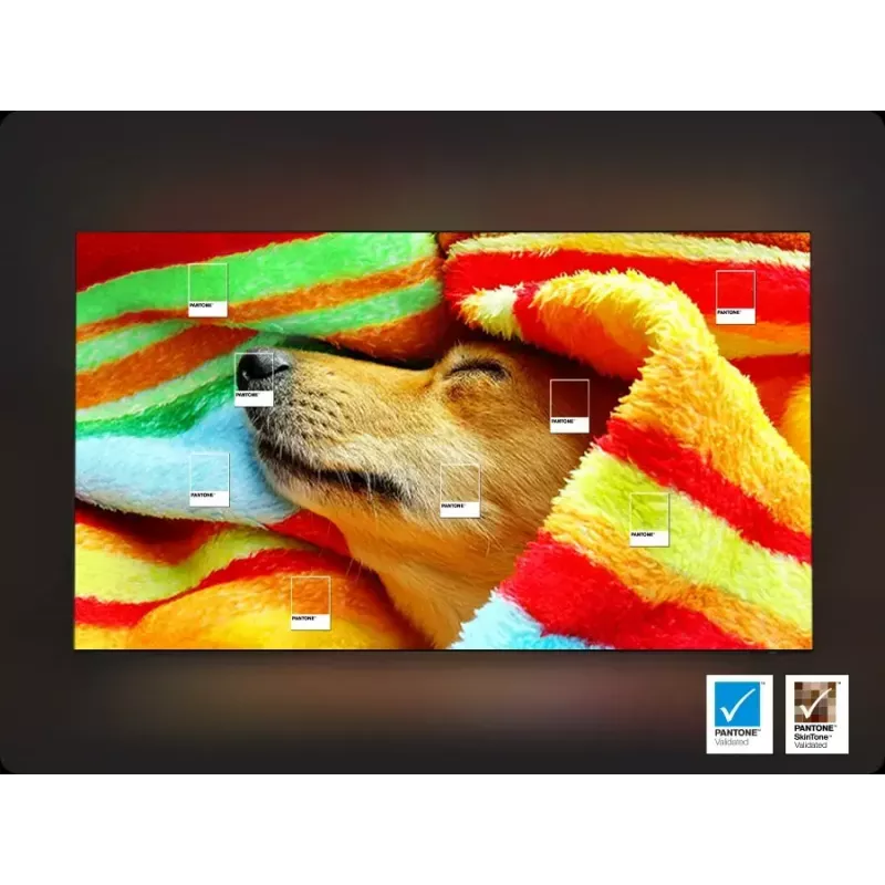 TV Samsung 75 inch Neo QLED QN85F 4K UHD, Neo QLED, 3840×2160, Tizen, Wi‑Fi, HDMI×4, 75 inch (189 cm), Silver