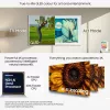 Television Samsung QE65LS03FAUXXH 65 inch The Frame QLED 4K HDR Smart TV, 3840×2160, Tizen, 120Hz