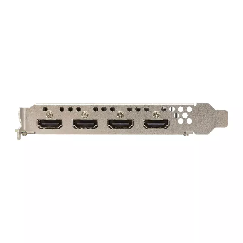 Graphics Card Sparkle Intel Arc A310 OMNI View — 4 GB GDDR6, 2000 MHz, PCIe 4.0 x8