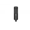 Dynamic Broadcast Microphone Beyerdynamic M 70 PRO X — wired, speech-tailored frequency response