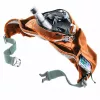 DEUTER Hip Sachet Pulse 3 kidney pouch adjustable belt — compact waist pack for outdoor activities