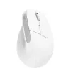 Trust Bayo+ mouse Office Right-hand RF Wireless + Bluetooth Optical 2400 DPI