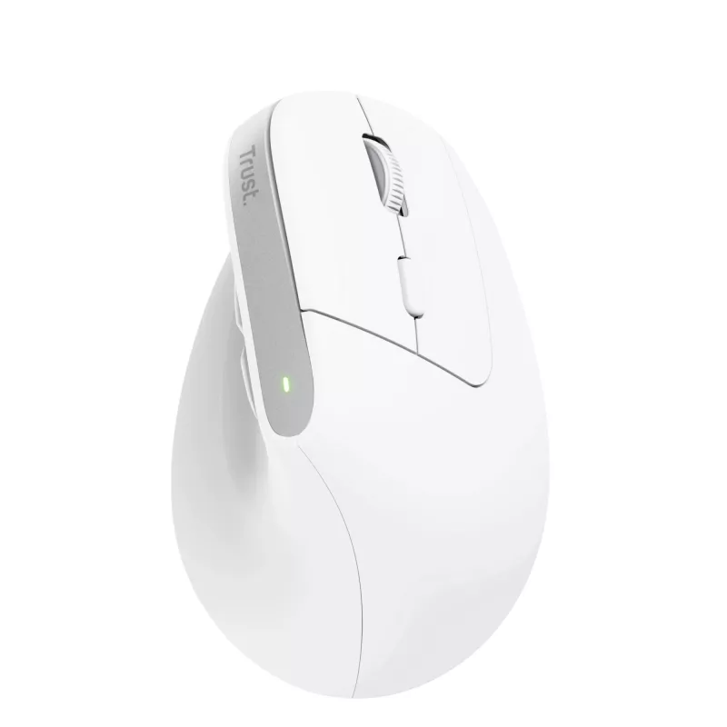 Trust Bayo+ mouse Office Right-hand RF Wireless + Bluetooth Optical 2400 DPI