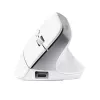 Trust Bayo+ mouse Office Right-hand RF Wireless + Bluetooth Optical 2400 DPI