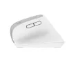 Trust Bayo+ mouse Office Right-hand RF Wireless + Bluetooth Optical 2400 DPI