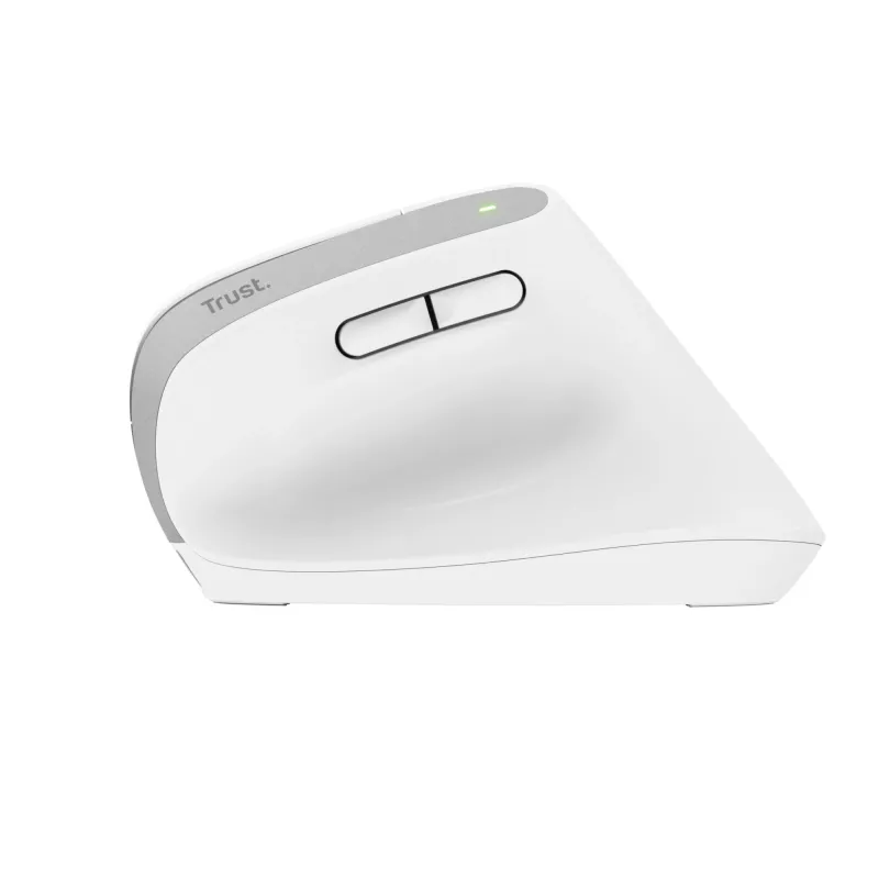 Trust Bayo+ mouse Office Right-hand RF Wireless + Bluetooth Optical 2400 DPI
