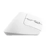 Trust Bayo+ mouse Office Right-hand RF Wireless + Bluetooth Optical 2400 DPI