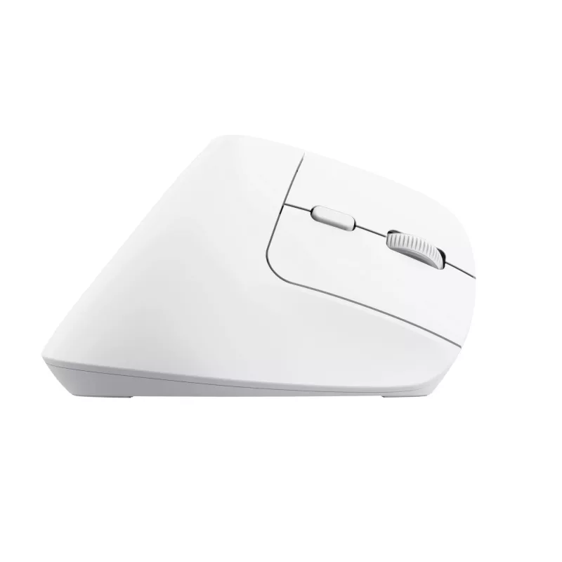Trust Bayo+ mouse Office Right-hand RF Wireless + Bluetooth Optical 2400 DPI