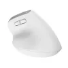 Trust Bayo+ mouse Office Right-hand RF Wireless + Bluetooth Optical 2400 DPI
