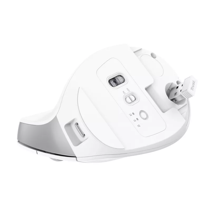 Trust Bayo+ mouse Office Right-hand RF Wireless + Bluetooth Optical 2400 DPI