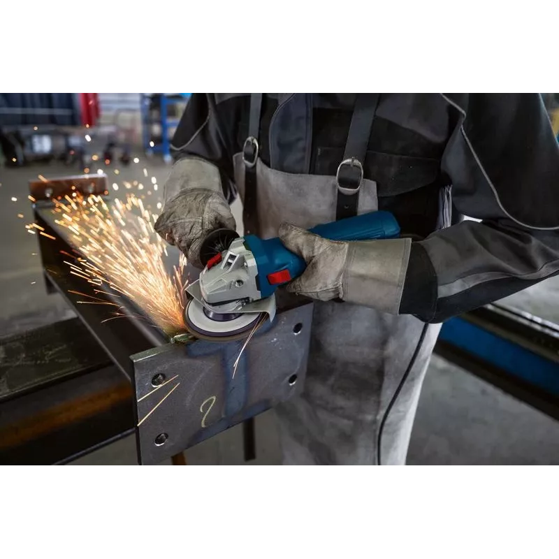 Bosch GWS 12-125 Professional angle grinder 12.5 cm 11000 RPM 1200 W 2.2 kg
