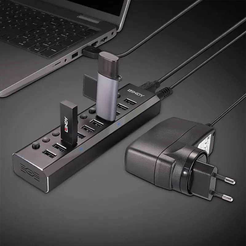 Lindy 10 Port USB 3.0 Hub with On/Off Switches