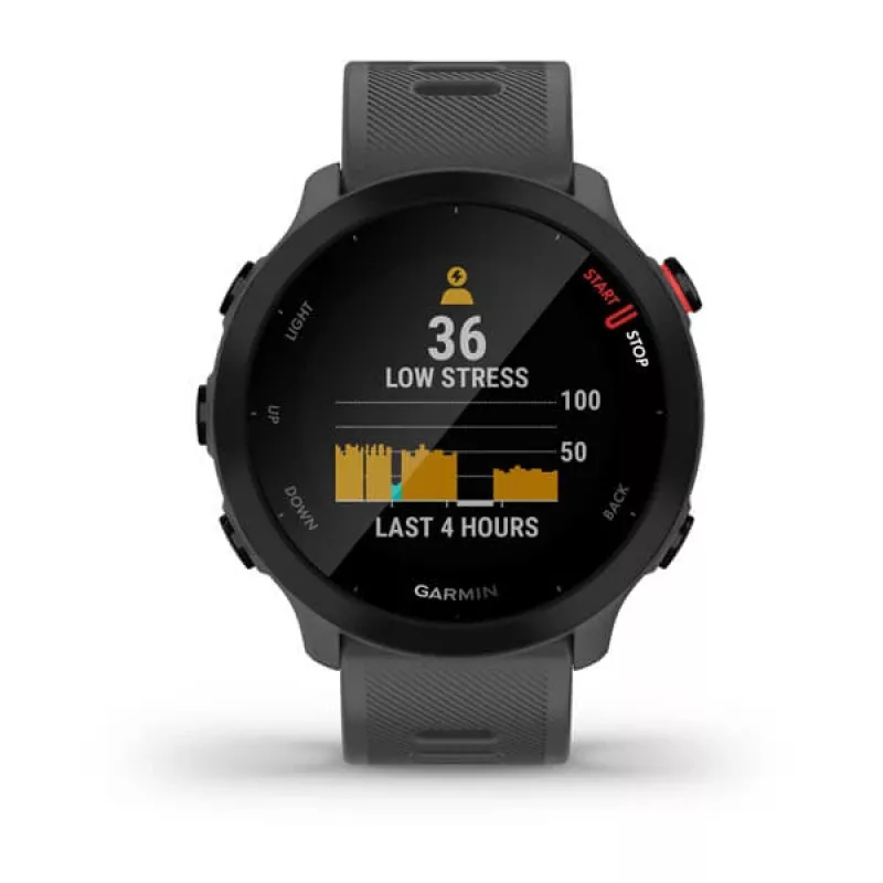 Smartwatch GARMIN Forerunner 55, round 42 mm case, grey, silicone band, GPS/GLONASS/Galileo, 5 ATM water resistance