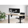 Neomounts FPMA-D1330DSILVER full-motion desk mount for 2 monitors, 10-27 inch (25.4-69 cm), clamp/grommet, max 18 kg, Silver
