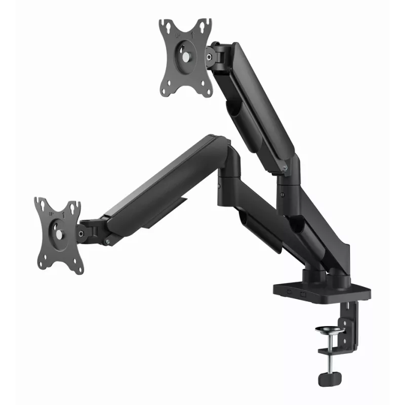GEMBIRD Adjustable Desk 2-Display Mounting Arm with USB Ports, 17-32 in