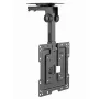 Ceiling TV mount GEMBIRD CM-43ST-01 full-motion for 19–43 inch TVs, steel, tilt 0–90°, swivel ±45°, VESA 75x75–200x200, max 20 kg, black