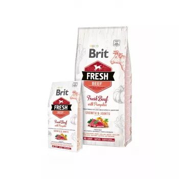 Dog Food Brit Fresh Beef with Pumpkin Puppy Large Bones & Joints 12 kg