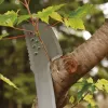 Gardening Machete Fiskars 1051236 Stainless Steel Orange Handle