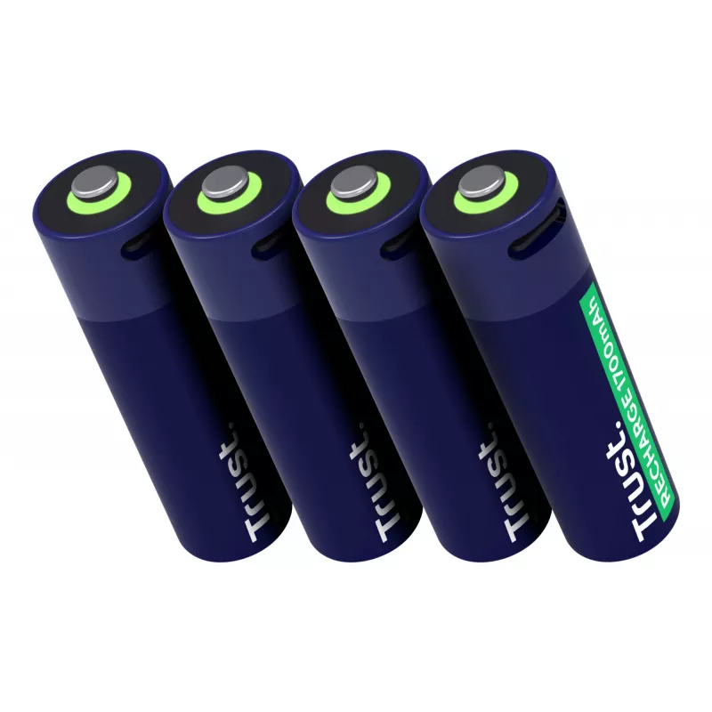 Trust 25631 household battery Rechargeable battery AA