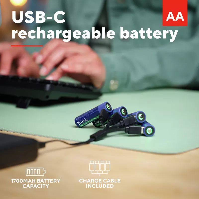 Trust 25631 household battery Rechargeable battery AA