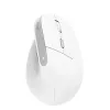 Trust Bayo II mouse Office Right-hand RF Wireless Optical 2400 DPI