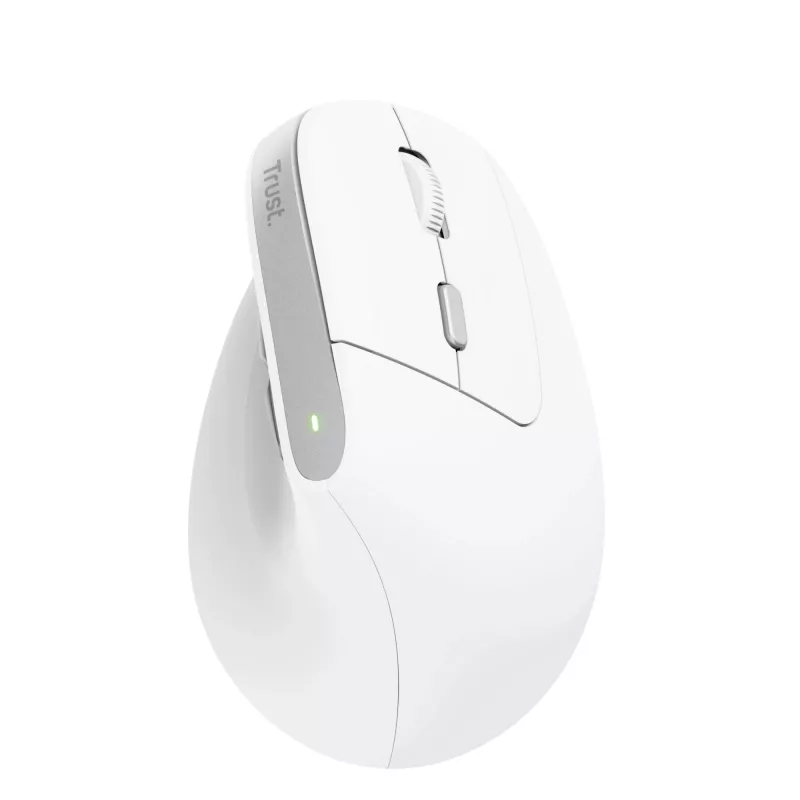 Trust Bayo II mouse Office Right-hand RF Wireless Optical 2400 DPI