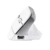 Trust Bayo II mouse Office Right-hand RF Wireless Optical 2400 DPI