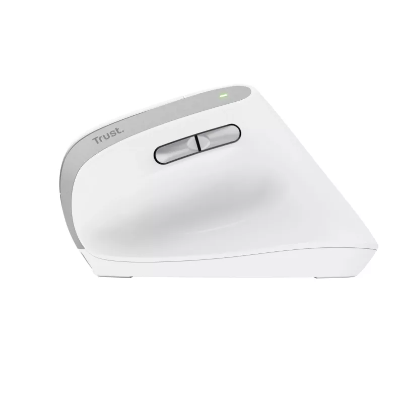 Trust Bayo II mouse Office Right-hand RF Wireless Optical 2400 DPI