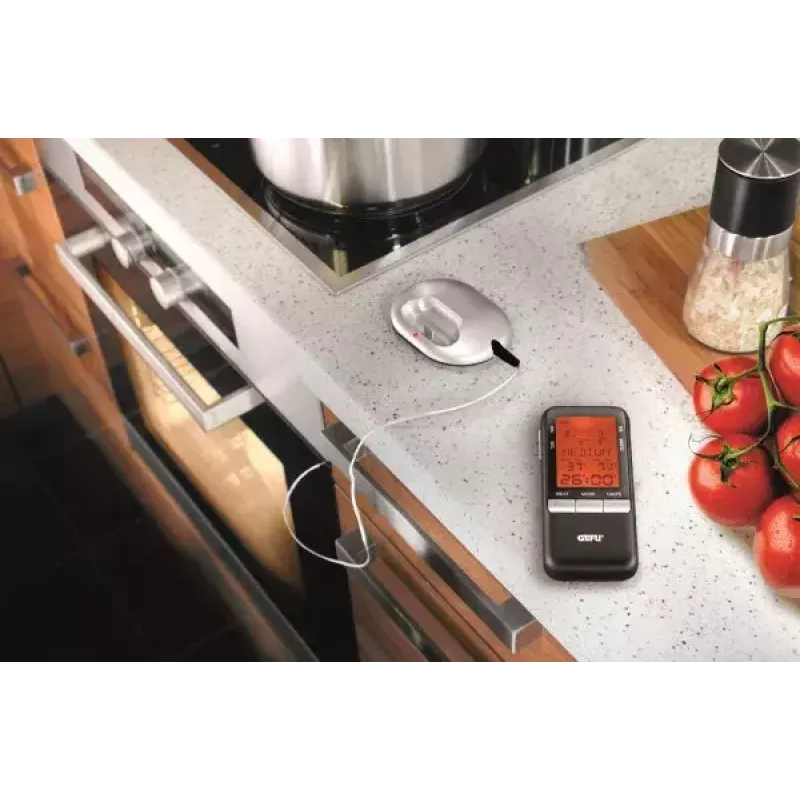 Food Thermometer GEFU WEEE 21850