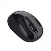 Trust 24658 mouse Office Ambidextrous RF Wireless Optical 1600 DPI