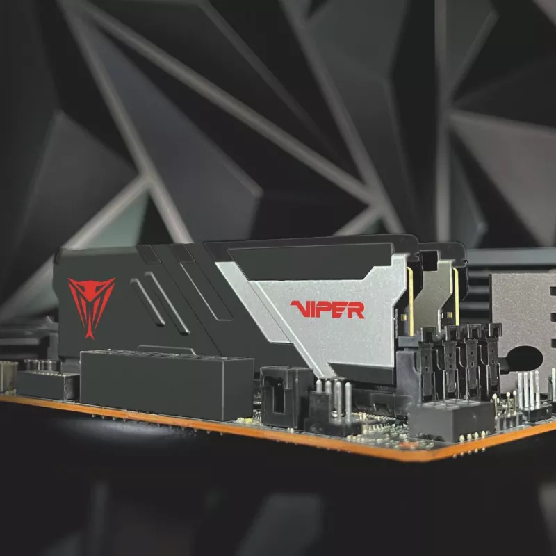 PATRIOT MEMORY Memory - Viper Venom - 32GB 2 X 16 GB DDR5 7000 MHz