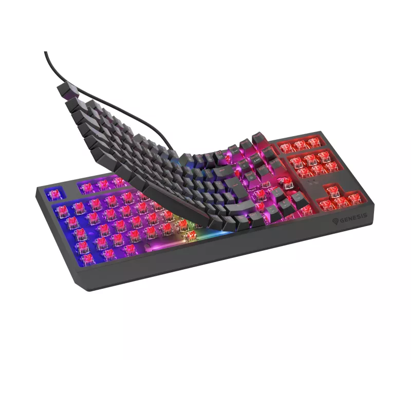 GENESIS Thor 230 TKL keyboard Gaming USB QWERTY Spanish Black