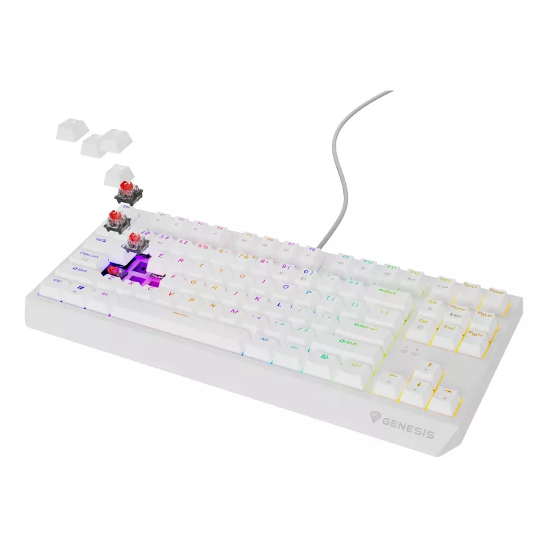GENESIS Thor 230 TKL keyboard Gaming USB QWERTY US English White