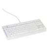 GENESIS Thor 230 TKL keyboard Gaming USB QWERTY US English White