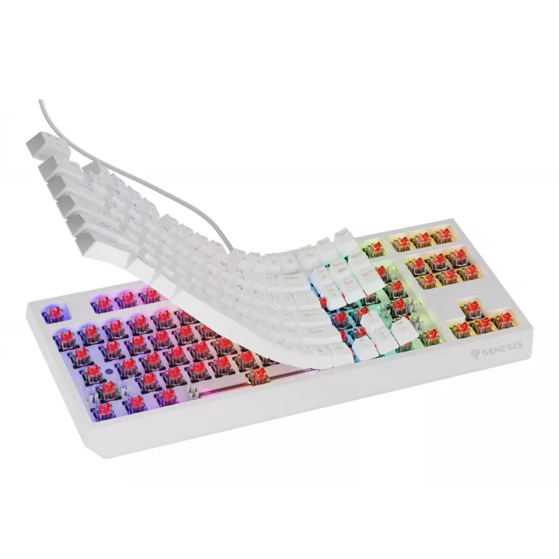 GENESIS Thor 230 TKL keyboard Gaming USB QWERTY US English White