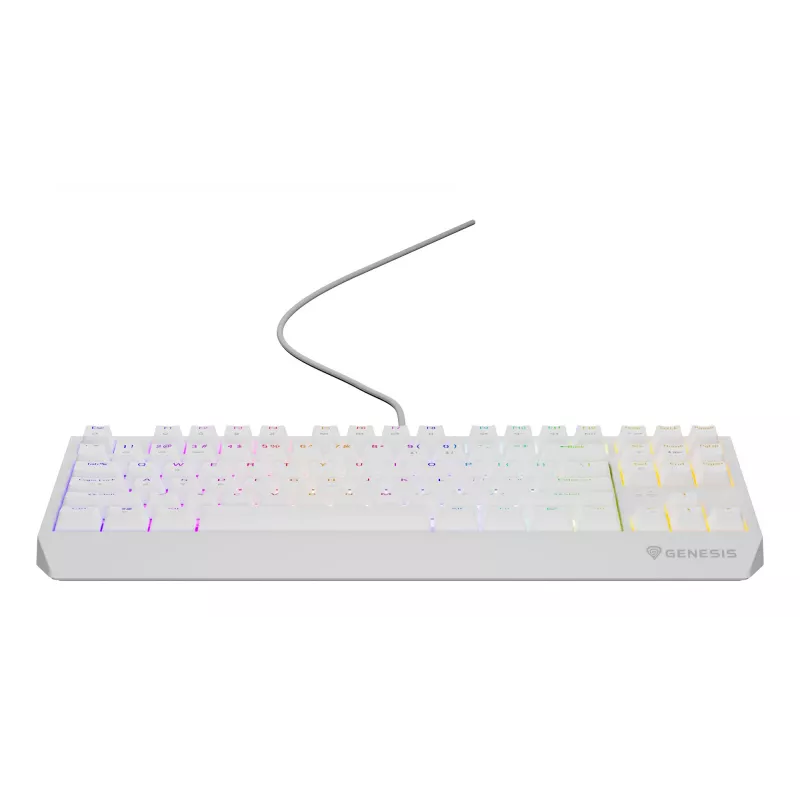 GENESIS Thor 230 TKL keyboard Gaming USB QWERTY US English White