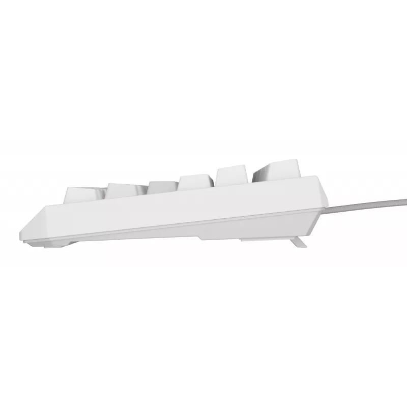GENESIS Thor 230 TKL keyboard Gaming USB QWERTY US English White