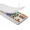 GENESIS Thor 230 TKL keyboard Gaming USB QWERTY US English White
