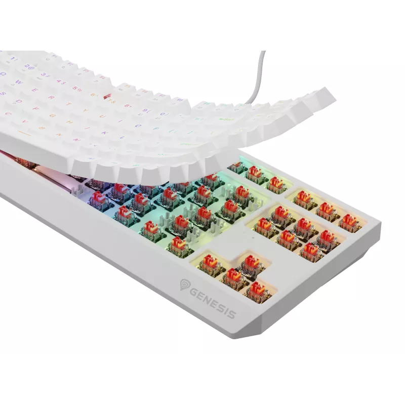GENESIS Thor 230 TKL keyboard Gaming USB QWERTY US English White