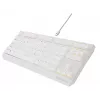GENESIS Thor 230 TKL keyboard Gaming USB QWERTY US English White