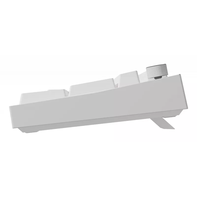 GENESIS NKG-2300 keyboard Universal USB QWERTY English White