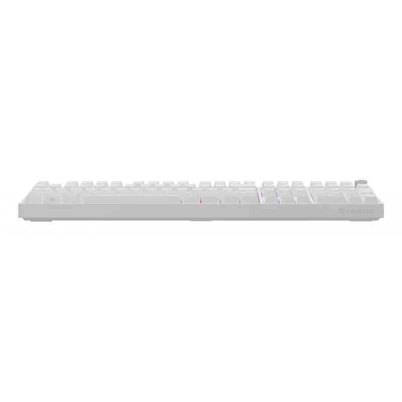 GENESIS NKG-2300 keyboard Universal USB QWERTY English White