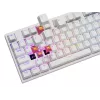 GENESIS NKG-2300 keyboard Universal USB QWERTY English White