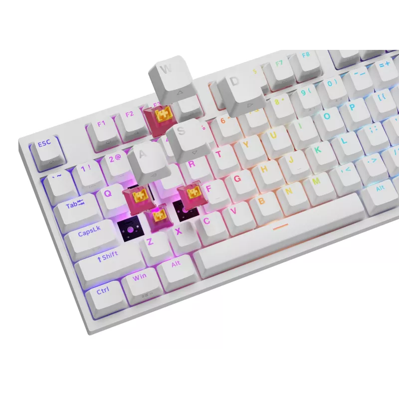 GENESIS NKG-2300 keyboard Universal USB QWERTY English White