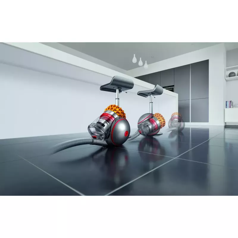 Dyson Cinetic Big Ball Multi Floor 2 230278-01 cylinder vacuum, 700 W, 0.8 L, bagless, silver