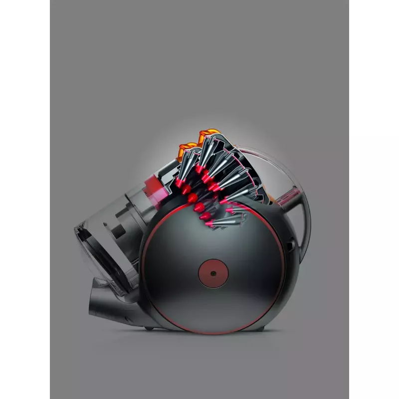 Dyson Cinetic Big Ball Multi Floor 2 230278-01 cylinder vacuum, 700 W, 0.8 L, bagless, silver