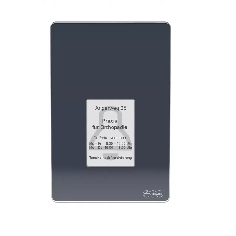 Auerswald TFS-Dialog 400 Door Intercom, Anthracite