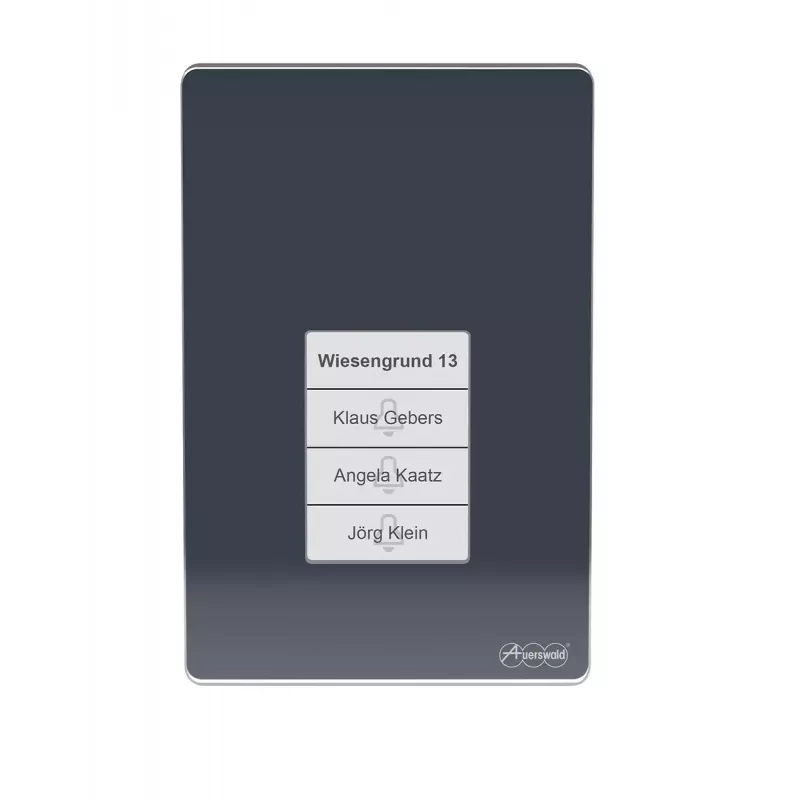 Auerswald TFS-Dialog 400 Door Intercom, Anthracite
