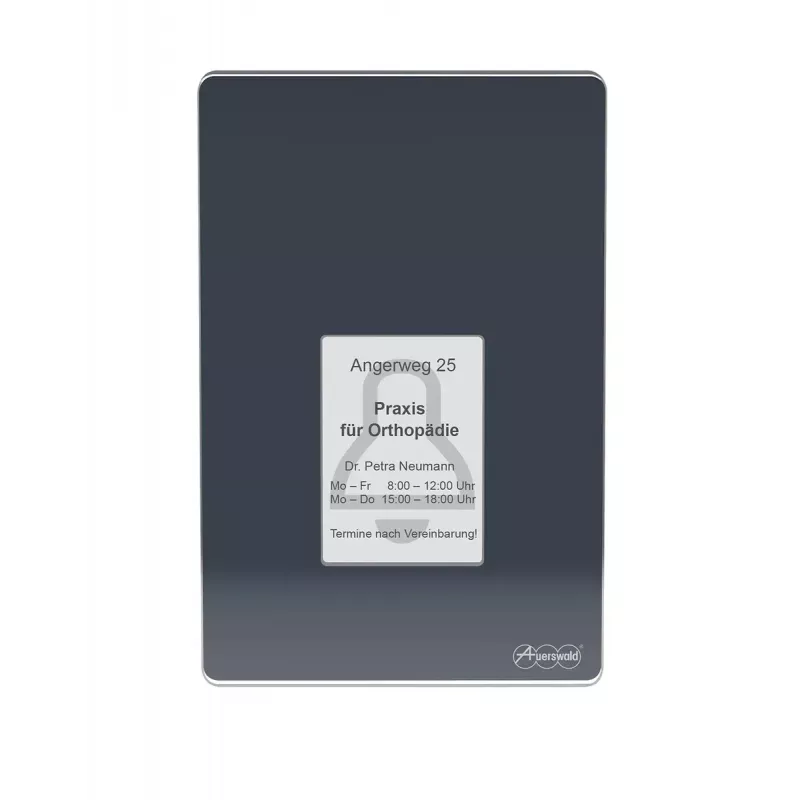 Auerswald TFS-Dialog 400 Door Intercom, Anthracite